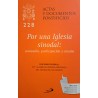 Por una Iglesia sinodal: comunión, participación y misión # 228 / Documento final