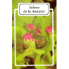 Salmos de la Amistad 1 (Folleto)