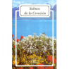 Salmos de la Creacion 15 (Folleto)