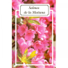 Salmos de la Mañana 13 (Folleto)