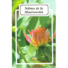 Salmos de la Misericordia 10 (Folleto)