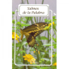 Salmos de la Palabra 17 (Folleto)
