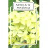 Salmos de la Providencia 16 (Folleto)