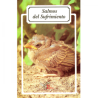 Salmos del Sufrimiento 9 (folleto)