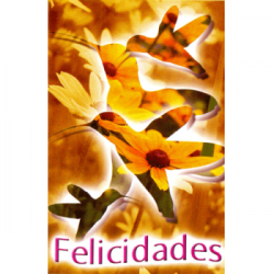Tarjeta Para Ti 02 Felicidades