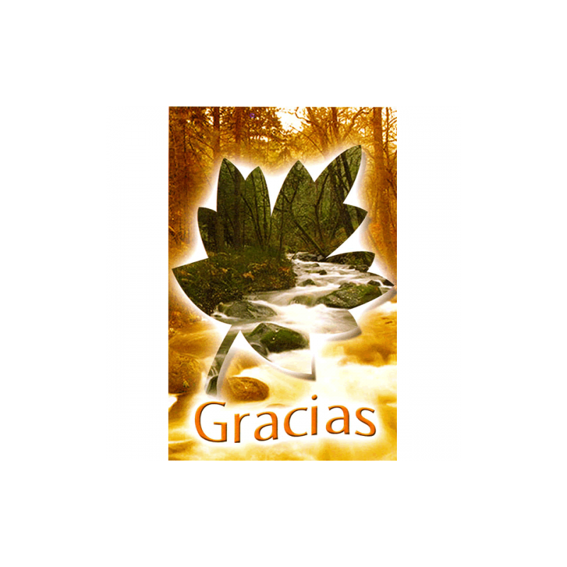 Tarjeta Para Ti 03 Gracias