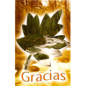 Tarjeta Para Ti 03 Gracias