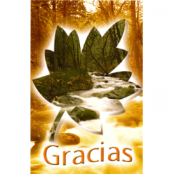 Tarjeta Para Ti 03 Gracias