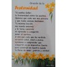 Tarjeta Postal Ocasiones 04
