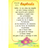 Tarjeta Postal Ocasiones 23 (Empleada)