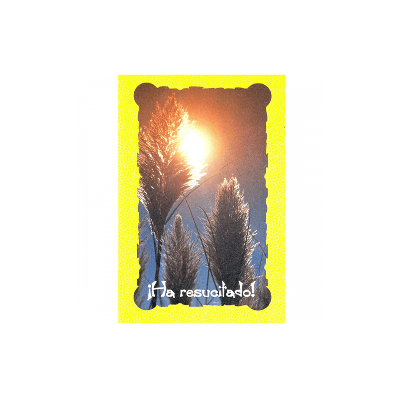 Tarjeta Resurreccion 3