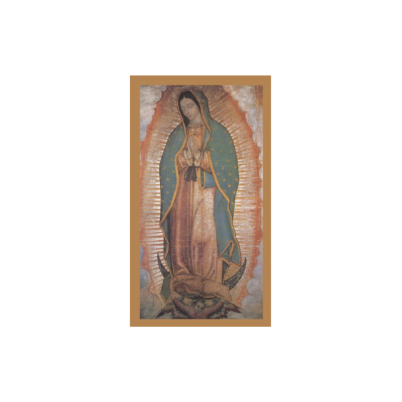 Estampa Piedad 06 (Oracion Virgen de Guadalupe)