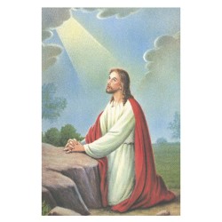 Estampa Piedad 11 (Abandono)