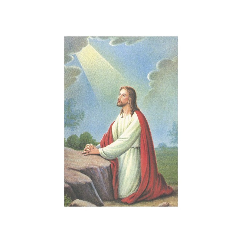 Estampa Piedad 11 (Abandono)