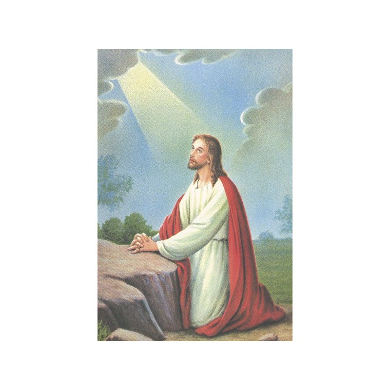 Estampa Piedad 11 (Amparo)