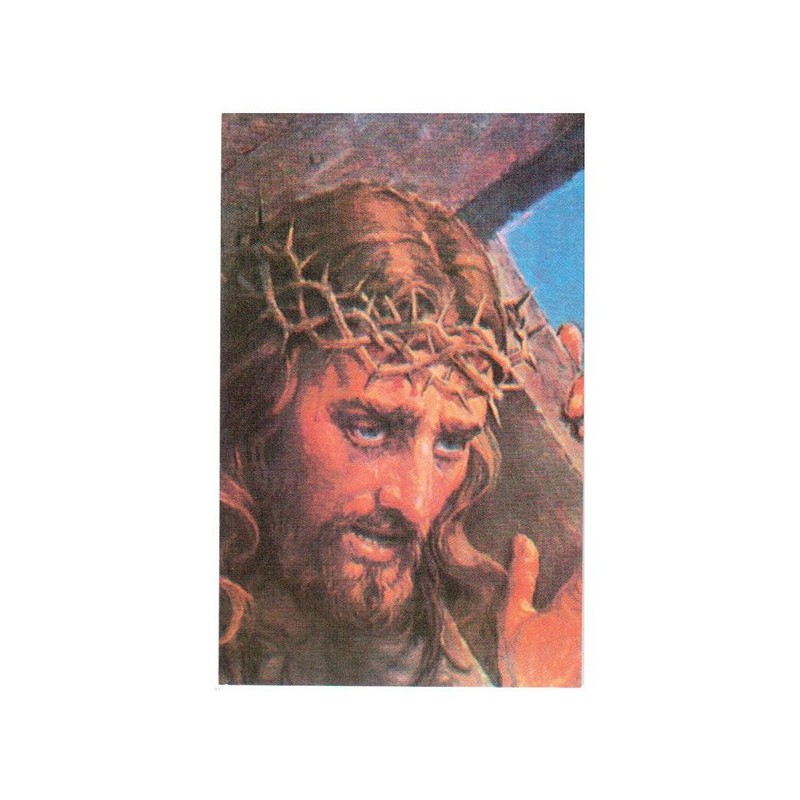 Estampa Piedad 12 (A Jesús Sufrimiento)