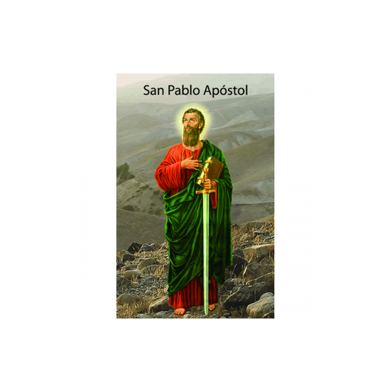 Estampa Piedad 28 (P. Apostol Biblia)