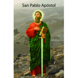 Estampa Piedad 28 (P. Apostol Biblia)