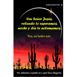 Poster Adventus No 2