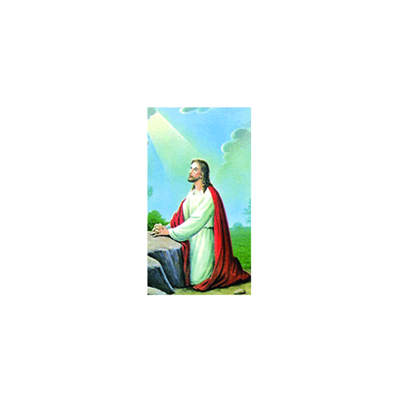 Poster Jesús 01 (Jesús orando en el huerto)