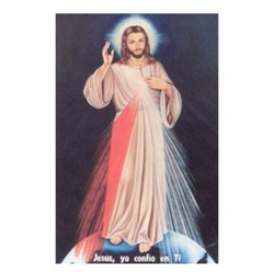 Poster Mediano Imagenes 4 Sr. Misericordia