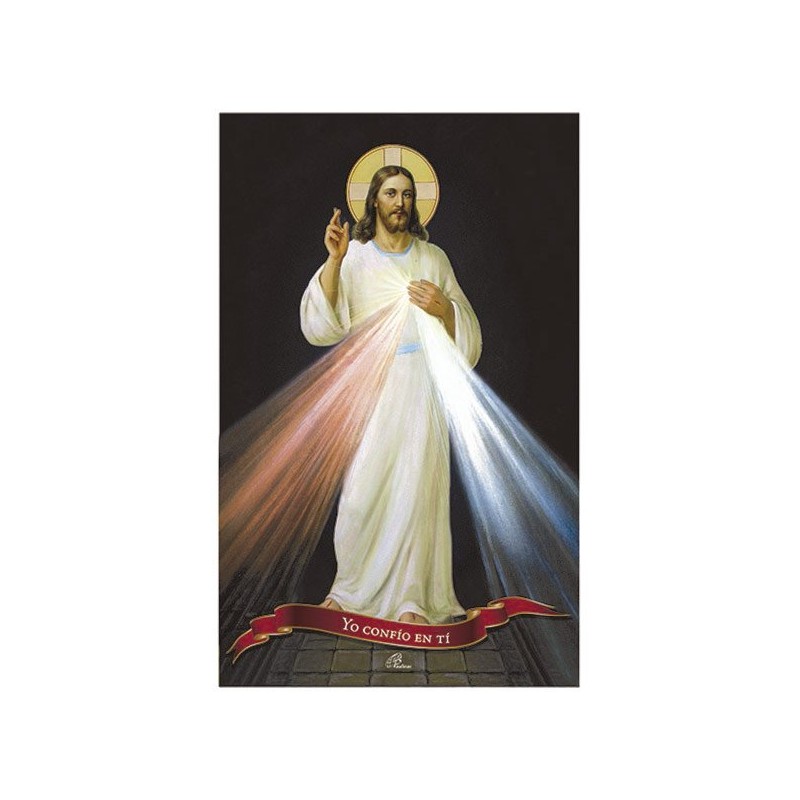 Poster Serie Jesus 21 Sr. Misericordia Nuevo