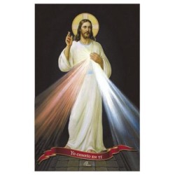 Poster Serie Jesus 21 Sr. Misericordia Nuevo