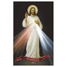 Poster Serie Jesus 21 Sr. Misericordia Nuevo